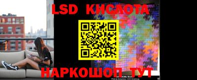 прущие грибы Владикавказ