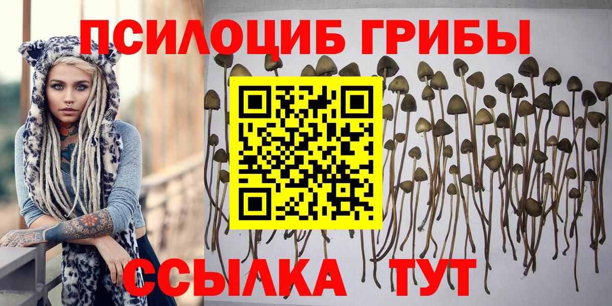 Галлюциногенные грибы мухоморы Вышний Волочёк
