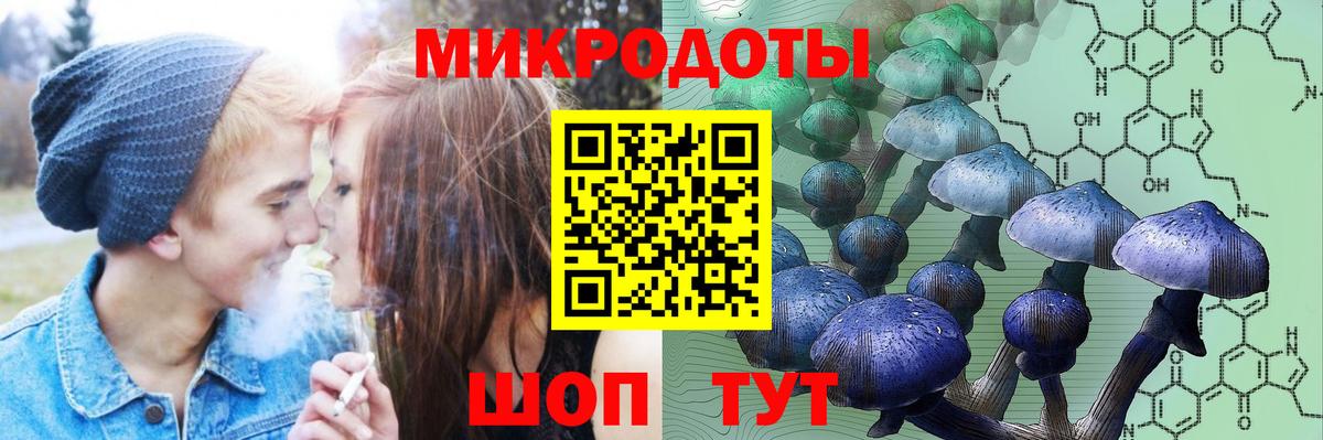 Вышний Волочёк  Галлюциногенные грибы GOLDEN TEACHER  Вход с VPN 